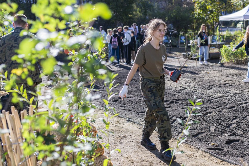 Na Polesiu powstał... mikrolas!