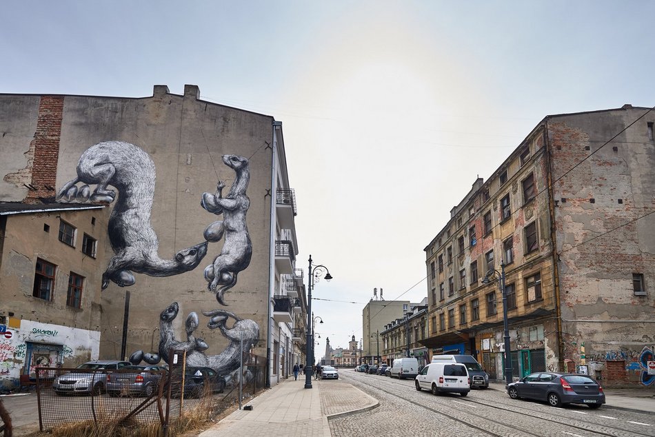 Zwierzęta na kamienicach, w parkach i ulicach w Łodzi