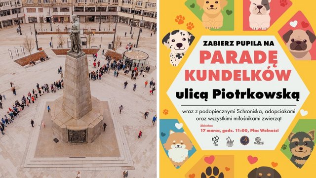 Parada Kundelków w Łodzi. Bezpłatne czipowanie, zwierzęta do adopcji i nie tylko [SZCZEGÓŁY]
