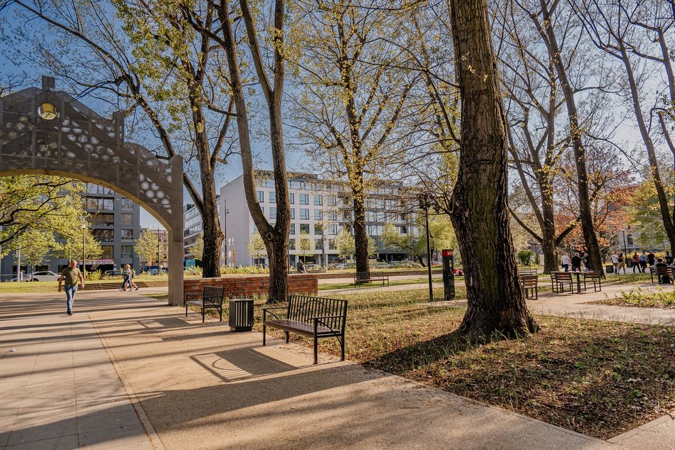 Park Staromiejski w Łodzi - wiosna, zieleń