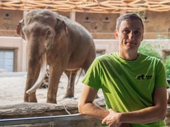 Co jedzą słonie w Orientarium Zoo Łódź