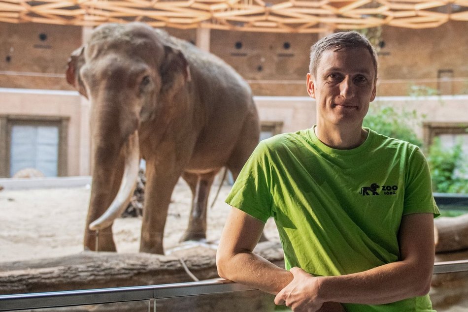 Co jedzą słonie w Orientarium Zoo Łódź