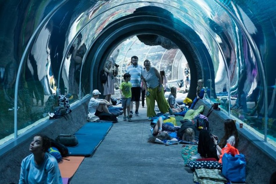 Urodzinowe nocowanie w Orientarium Zoo Łódź. Przeżyli przygodę, której zapamiętają na długo!