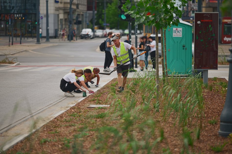 Plac przy kawiarni Starbucks w centrum Łodzi odżywa! Tyle tam zieleni!
