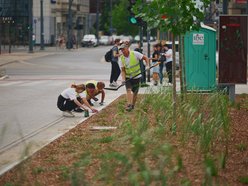 Plac przy kawiarni Starbucks w centrum Łodzi odżywa! Tyle tam zieleni!