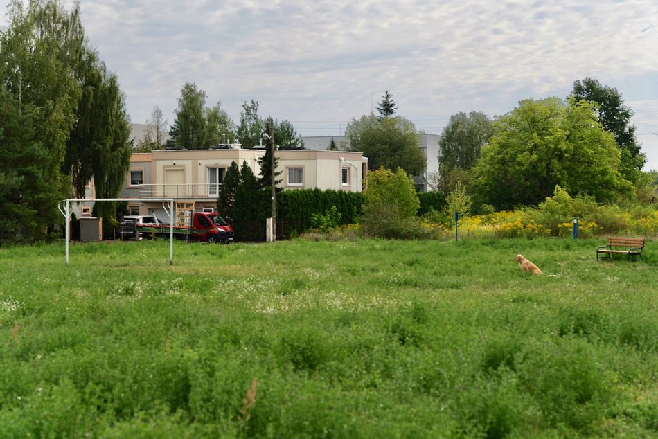 Park Mirabelka w Łodzi. Zielona przestrzeń przy ulicy Ustronnej zyskała nowa nazwę