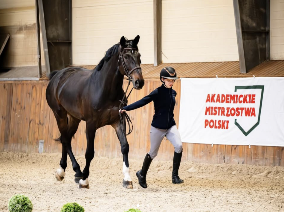 Łódź. Z pasji do koni. Maria Kaźmierczak z Łodzi z dwoma medalami Akademickich Mistrzostw Polski