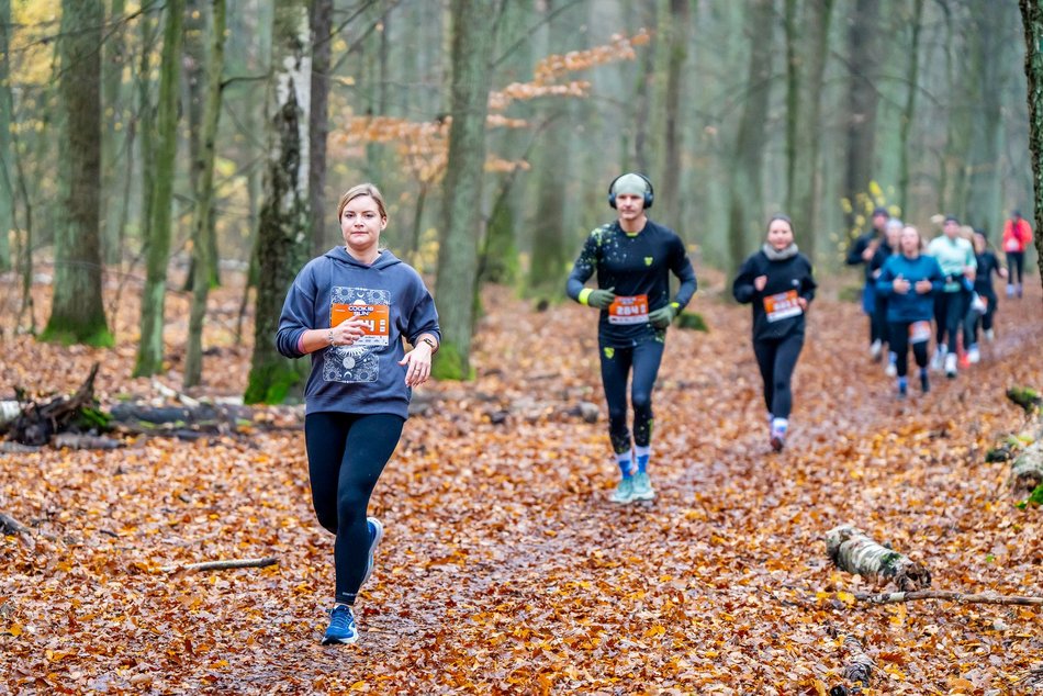 Cookie Run w Lesie Łagiewnickim w Łodzi