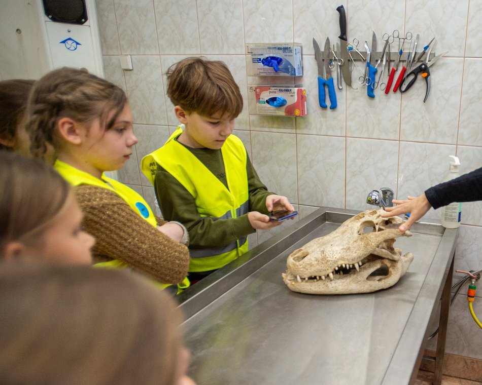 Wolne miejsca na ferie zimowe 2026 w Łodzi. Ile jeszcze dzieci może jeszcze z nich skorzystać?