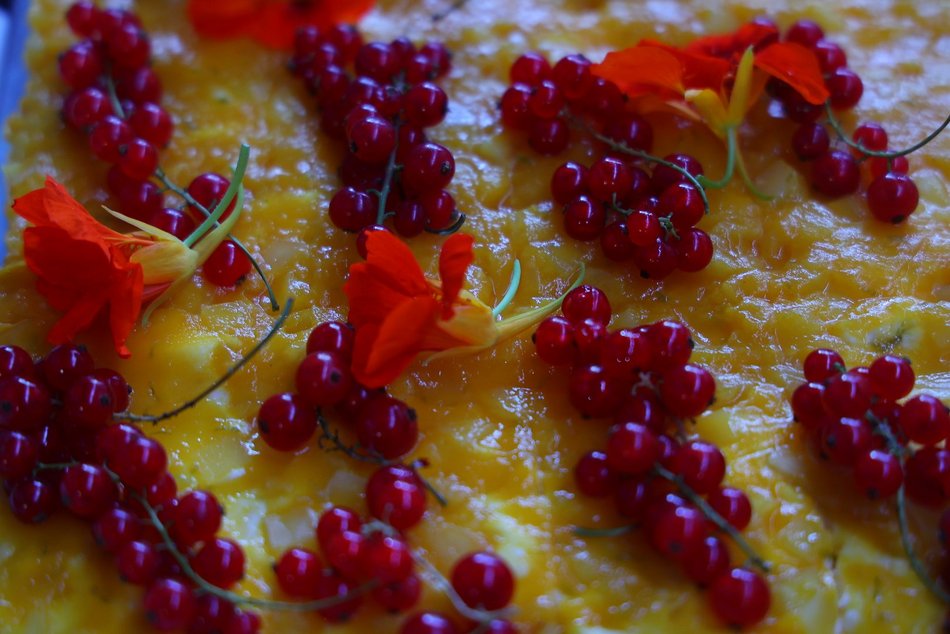 Łódź. Kulinarna odsłona 602. Urodzin Łodzi. Targ Śniadaniowy w Fuzji przyciągnął tłumy!