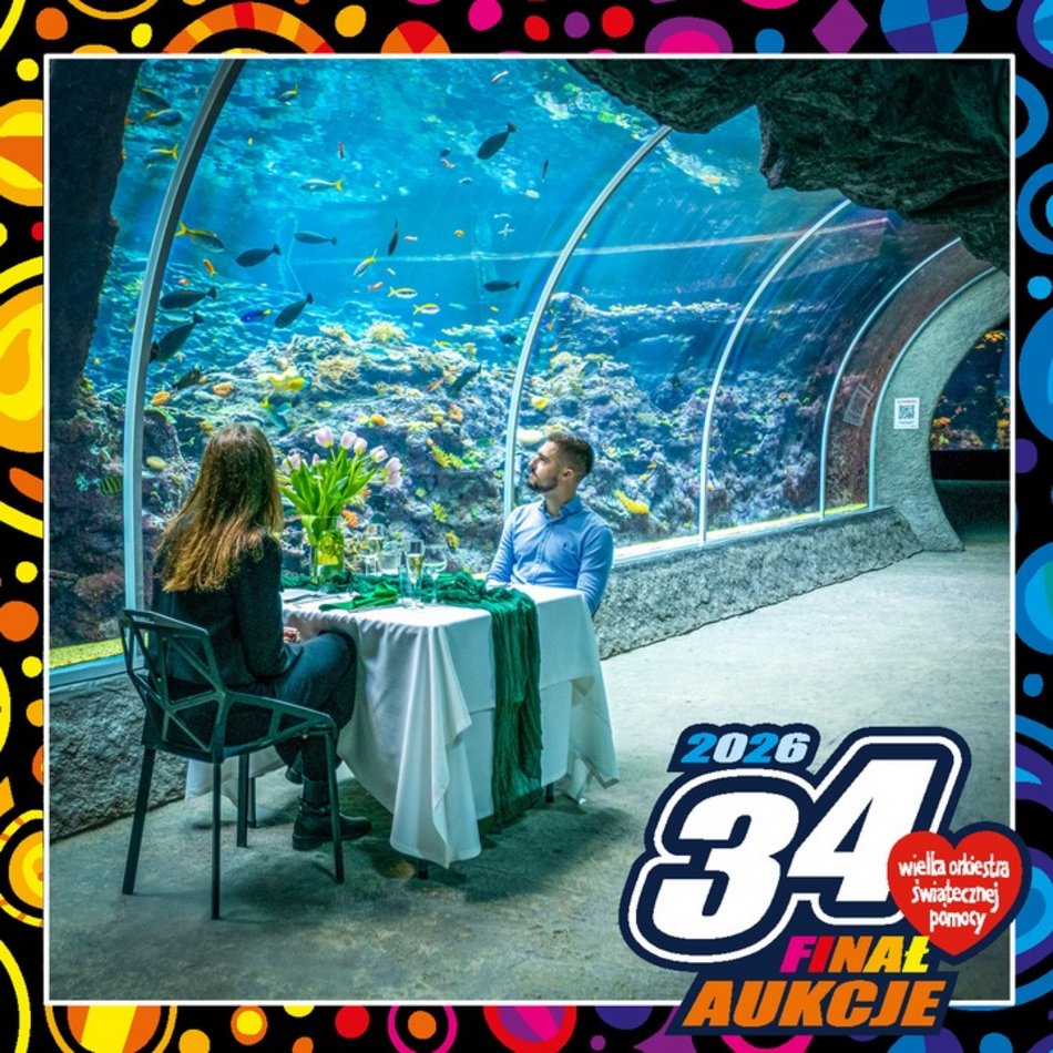 Łódź. Orientarium Zoo Łódź gra z WOŚP 2026 w Łodzi. Weź udział w wyjątkowych aukcjach