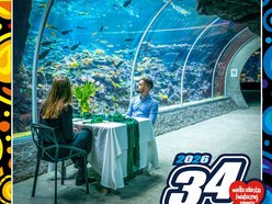 Łódź. Orientarium Zoo Łódź gra z WOŚP 2026 w Łodzi. Weź udział w wyjątkowych aukcjach