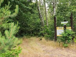 Łódź zna się na zielonych inwestycjach!