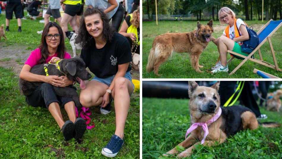 Łódź. Ostatni Psia Polówka w Łodzi za nami. Nic słodszego dziś nie zobaczysz!