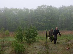 Łódź. Prawie 19 tysięcy nowych drzew w Łodzi jeszcze wiosną