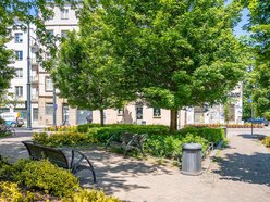 Łódź. Parki kieszonkowe w Łodzi. Moc zieleni w mini wersji