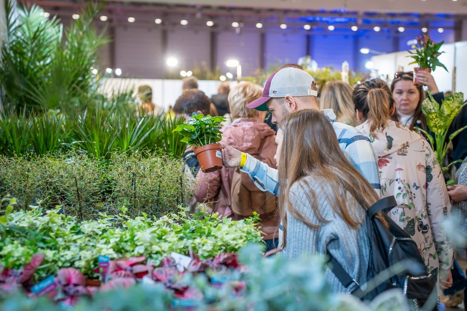 Łódź. World Flower Show w hali Expo Łódź. Przyjdź i zobacz orchidee, drzewa bonsai i sukulenty