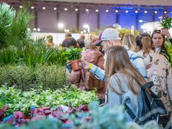 Łódź. World Flower Show w hali Expo Łódź. Przyjdź i zobacz orchidee, drzewa bonsai i sukulenty