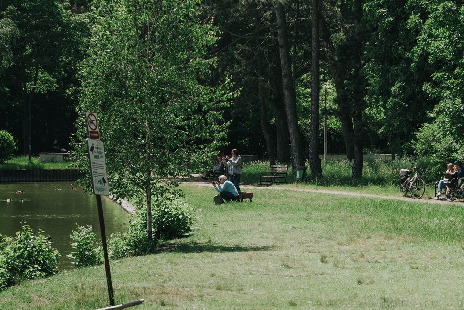 Łódź. Park na Zdrowiu