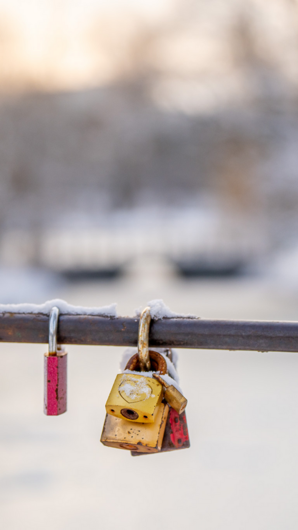 Łódź. Najpiękniejsza Łódź zimą. 10 tapet na telefon, które wprowadzą zimowe wibracje!