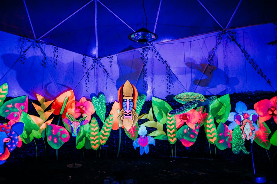 Park Miliona Świateł w Orientarium Zoo Łódź