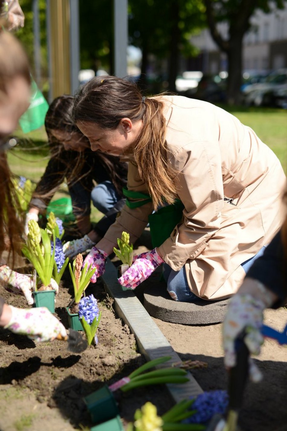 sadzenie zieleni na skwerze