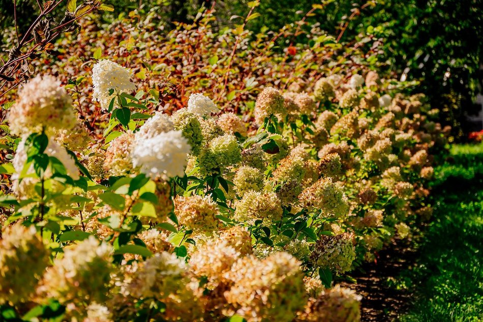 Łódź. Wrzesień w Łodzi potrafi zaskoczyć! Miasto wciąż tętni kolorami i zapachem kwiatów