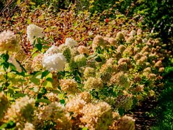Łódź. Wrzesień w Łodzi potrafi zaskoczyć! Miasto wciąż tętni kolorami i zapachem kwiatów