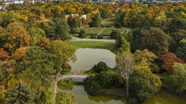 Park Poniatowskiego w jesiennych barwach. Baśniowy krajobraz w centrum miasta [ZDJĘCIA]