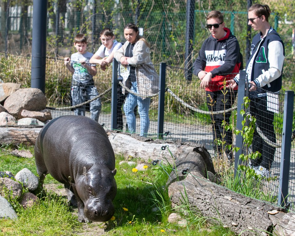 Orientarium Zoo Łódź i Milka zapraszają młodych detektywów