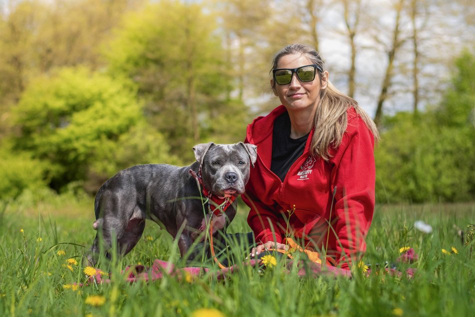 Łódź. Stowarzyszenie „Amstaffy Niczyje” z Łodzi zwalcza stereotypy. Siła i łagodność mogą iść w parze!