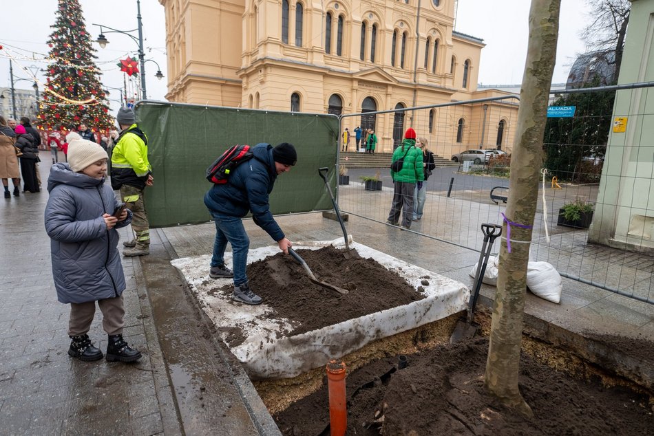 Łódź. Drzewa na Piotrkowskiej w Łodzi posadzone! Łodzianie uczestniczyli w imprezie