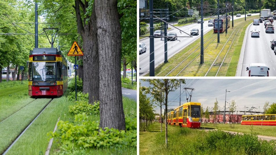 Łódź. Ponad 30 kilometrów najbardziej zielonych torowisk w Polsce? Oczywiście w Łodzi!