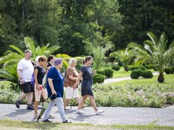 Warsztaty w Ogrodzie Botanicznym w Łodzi