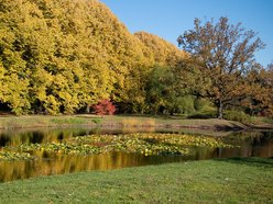 Ogród Botaniczny w Łodzi zamyka się na zimę