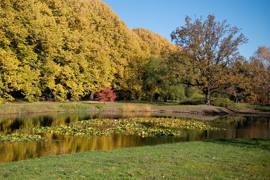 Ogród Botaniczny w Łodzi zamyka się na zimę