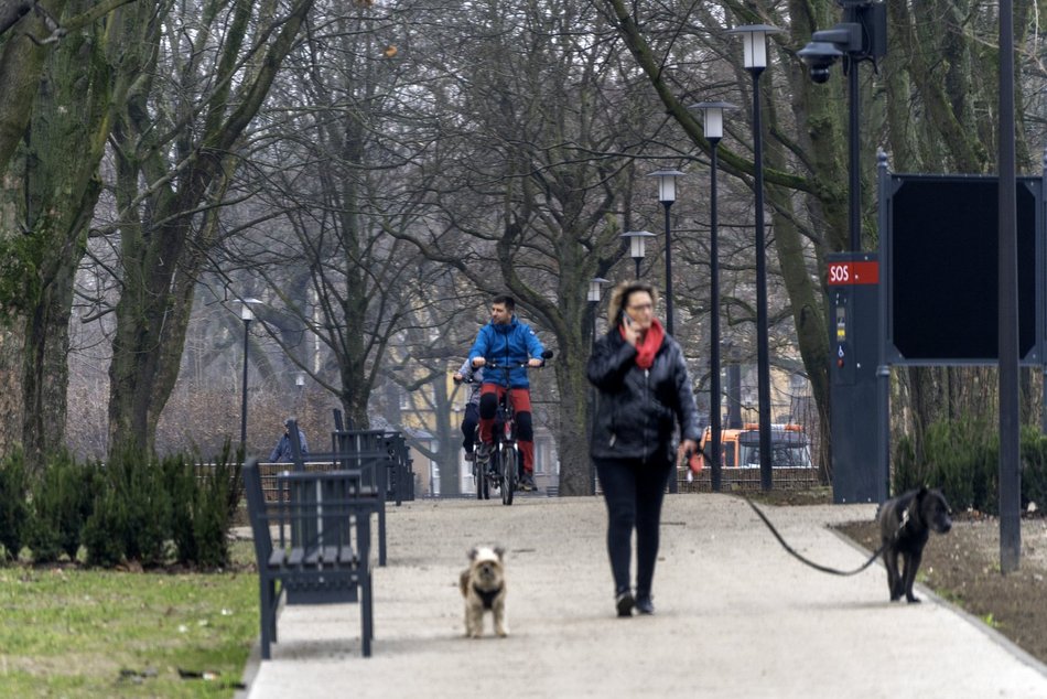 Plac Wolności, park Staromiejski i Stary Rynek w Łodzi