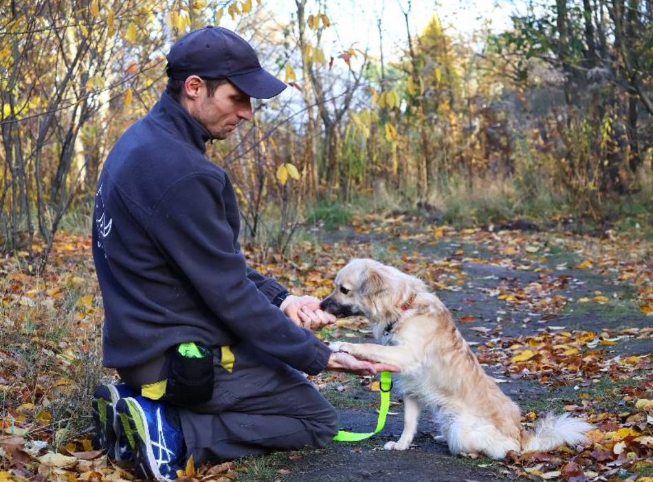 Amik to strachliwy słodziak. Obok tego pyszczka ze schroniska w Łodzi nie przejdziesz obojętnie