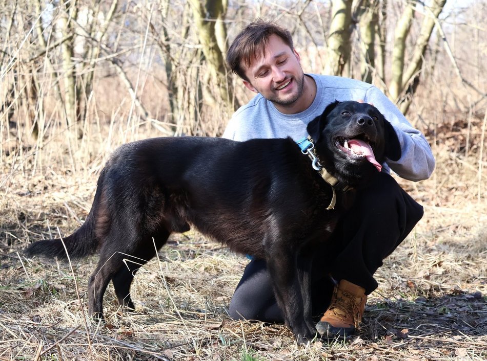 Kawaler do wzięcia. Bazyl ze schroniska w Łodzi szuka nowego domu