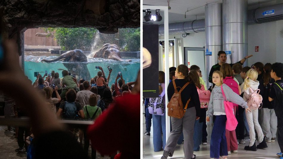 Łódź. Orientarium Zoo Łódź i EC1 Łódź