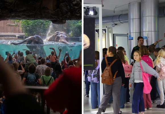 Łódź. Orientarium Zoo Łódź i EC1 Łódź