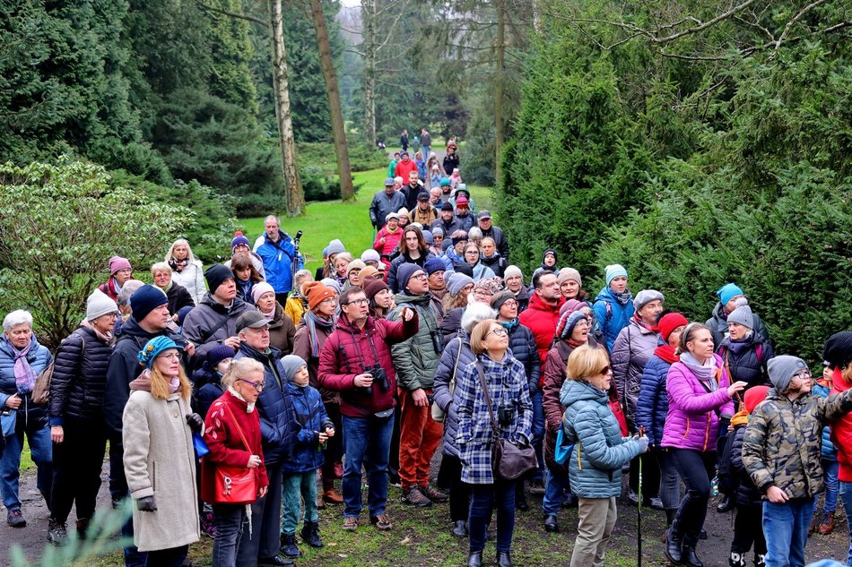 Łódź. Co robić w weekend w Łodzi? Targi Hot Wheels, powitanie wiosny, atrakcje w Dętce