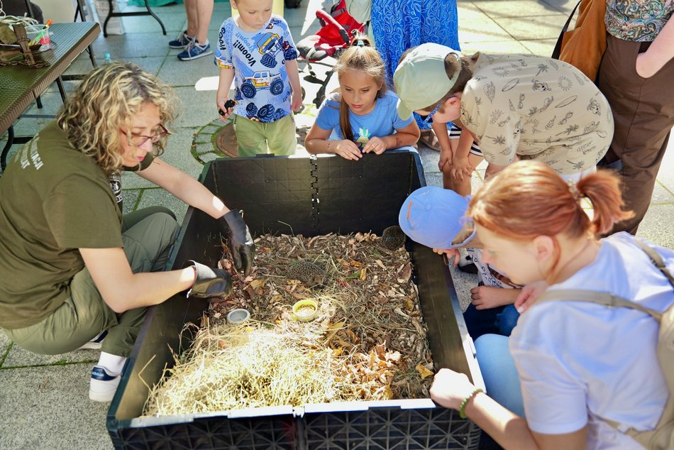 Łódź. Światowy Dzień Zwierząt na Starym Rynku w Łodzi. Psy, konie, a nawet... jerze!