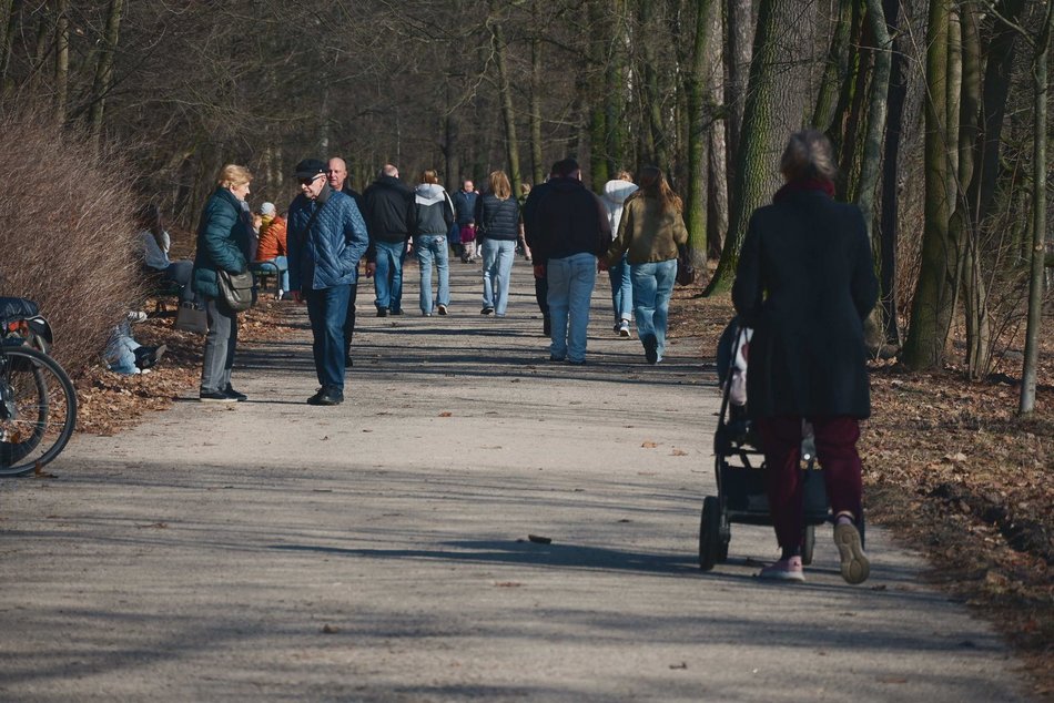 Tłumy w Parku Julianowskim w Łodzi
