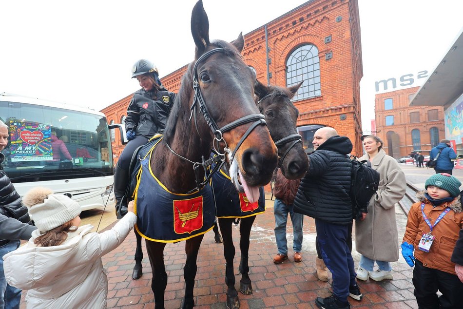 Łódź. Moc atrakcji w Manufakturze na WOŚP 2026 w Łodzi! Wikingowie, strażacy, pokazy i więcej