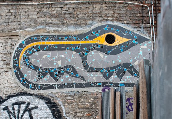 fot. Paweł Łacheta