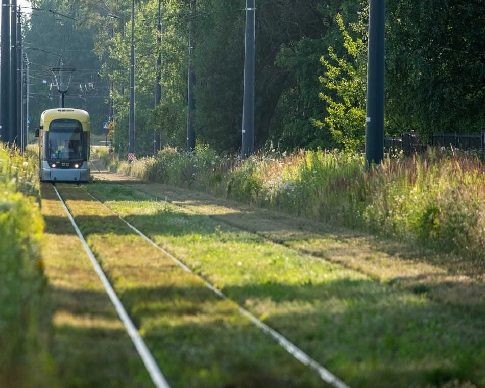 torowisko tramwajowe