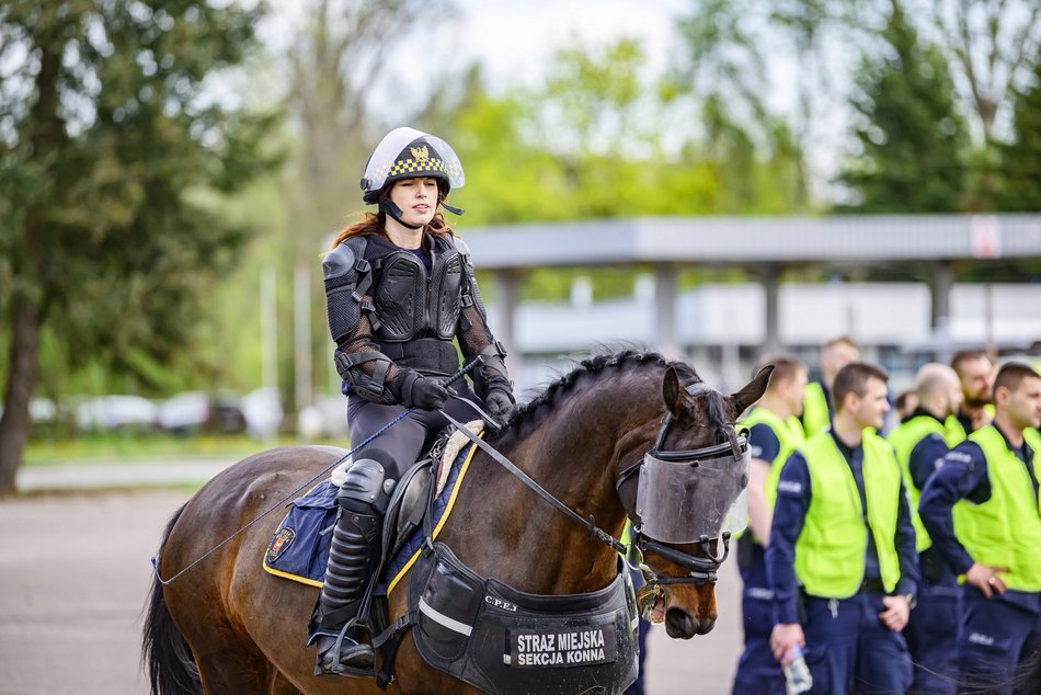 Łódź. Zwierzęta Straży Miejskiej na szkoleniu