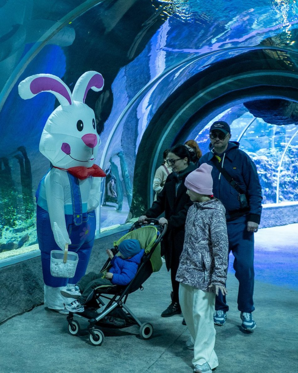 Łódź. Wielkanocny zając w Orientarium Zoo Łódź
