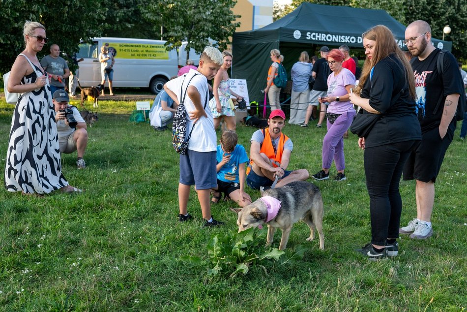 Łódź. Psia Polówka na Widzewskiej Górce. Psiaki przejęły dowodzenie!